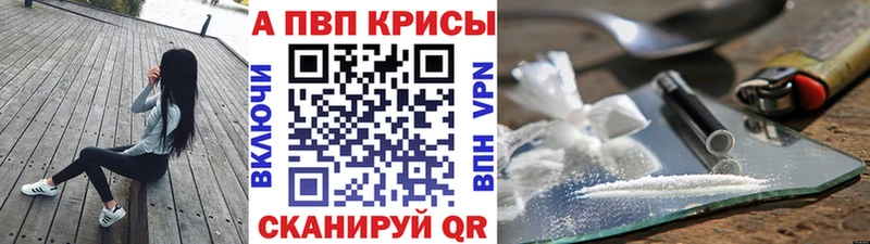 Альфа ПВП крисы CK  Купить закладки  Назрань 